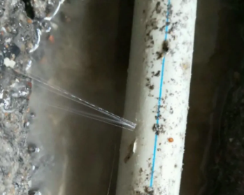 新蔡卫生间测漏水多少钱