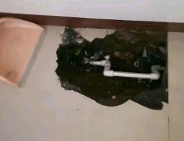 新蔡卫生间测漏水多少钱